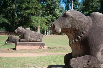 Pr�ah Ko - Tempel des Heiligen Ochsen