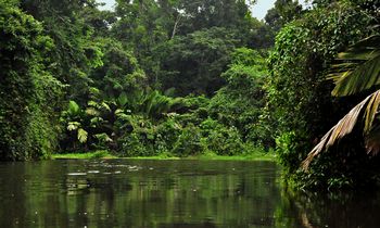 Auf den verwinkelten Kan�len des Tortuga-Nationalparks.