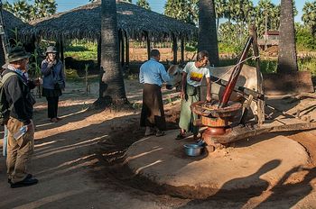 Aus den Kokosn�ssen wurde dort Schnaps gebrannt und verkauft.