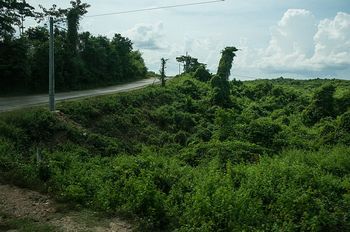 Reise an die Ostk�ste zur "Bay of Bengal".