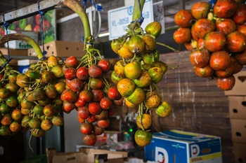 Auf dem Obst- und Gem�semarkt in Panama