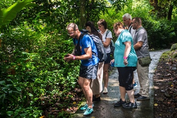 Unterwegs zur "La Piedra Pintada", einer Felswand mit pr�kolumbianischen Steinzeichnungen.