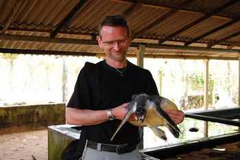 Schildkr�tenstation in Kosgoda