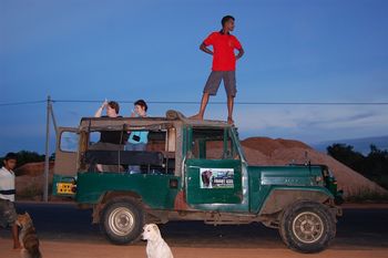 Ein toter Elefant am Strassenrand